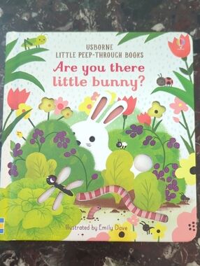 Usborne Are You There Little Bunny? Board Book - White